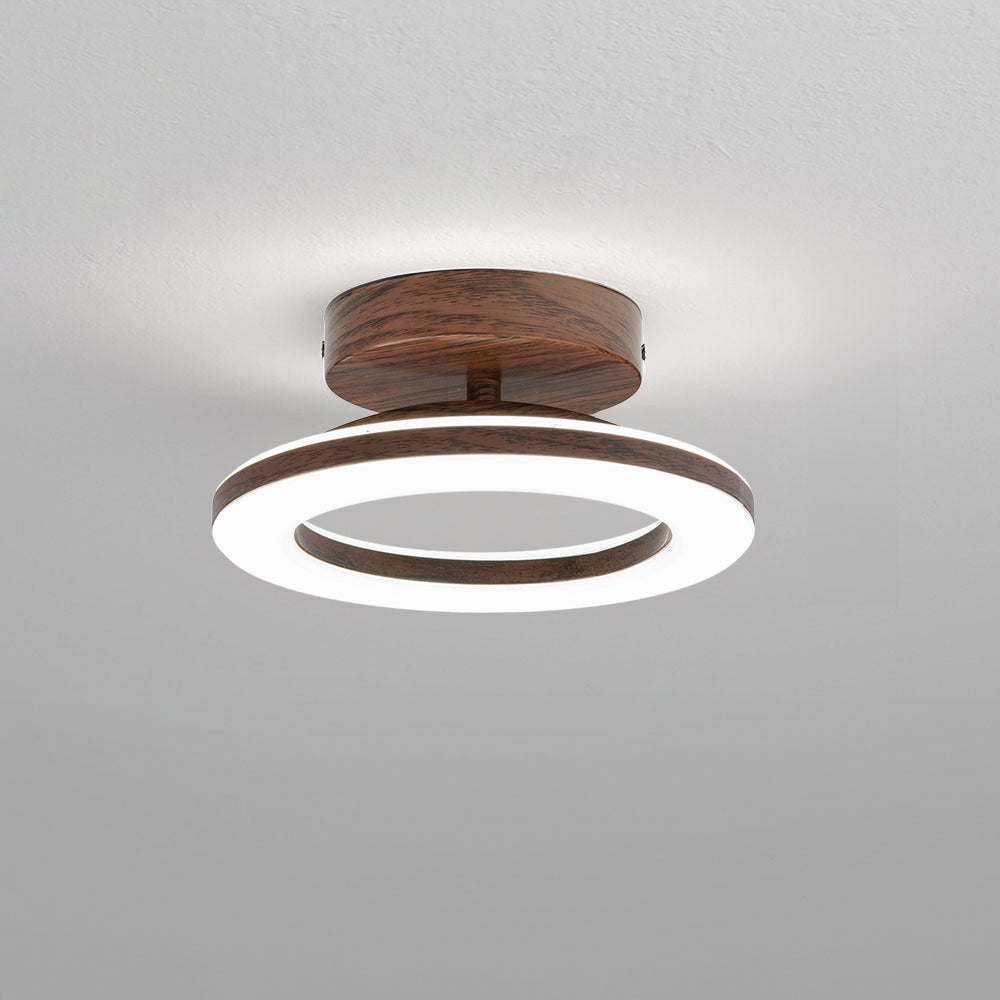 Ceiling Lights