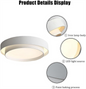 Round Iron LED Ceiling Light – product photo 12