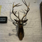 Animal Head Wall Decoration