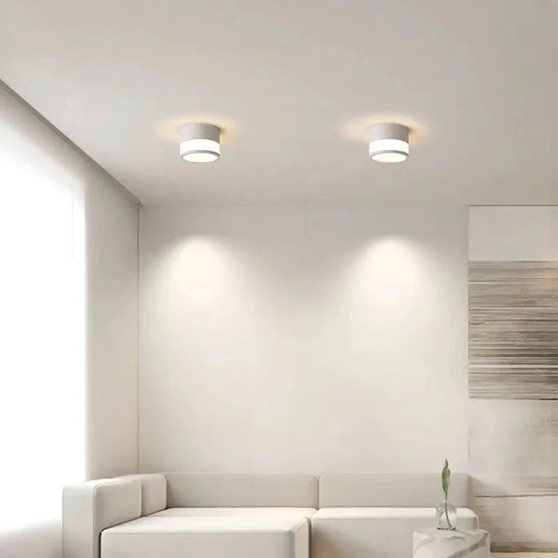 Surface-Mounted LED Downlight – styled view