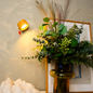 Cordless rechargeable LED wall light