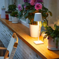 Cordless Touch LED Table Lamp