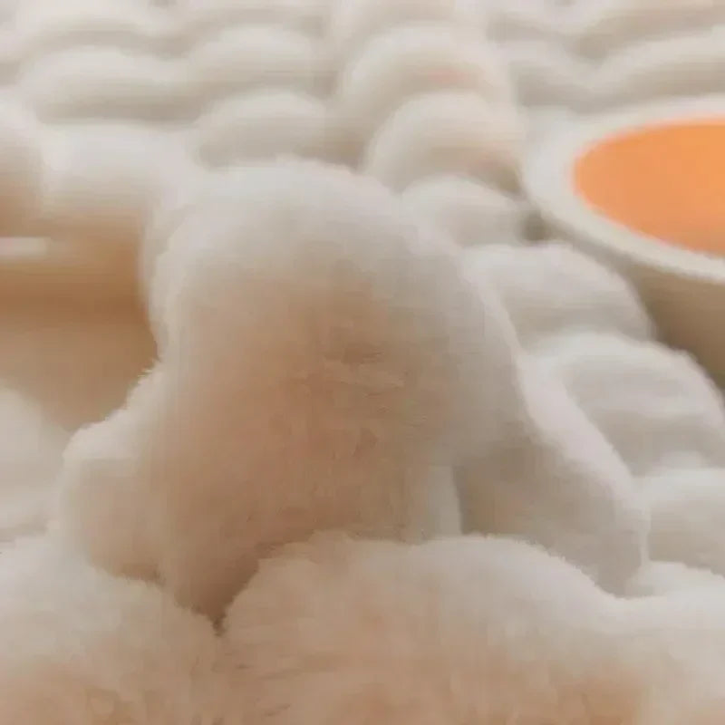 Fluffy Faux Fur Throw Blanket
