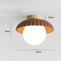 Frosted Glass Globe Ceiling Light – product photo 12