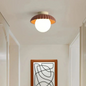Frosted Glass Globe Ceiling Light in Orange