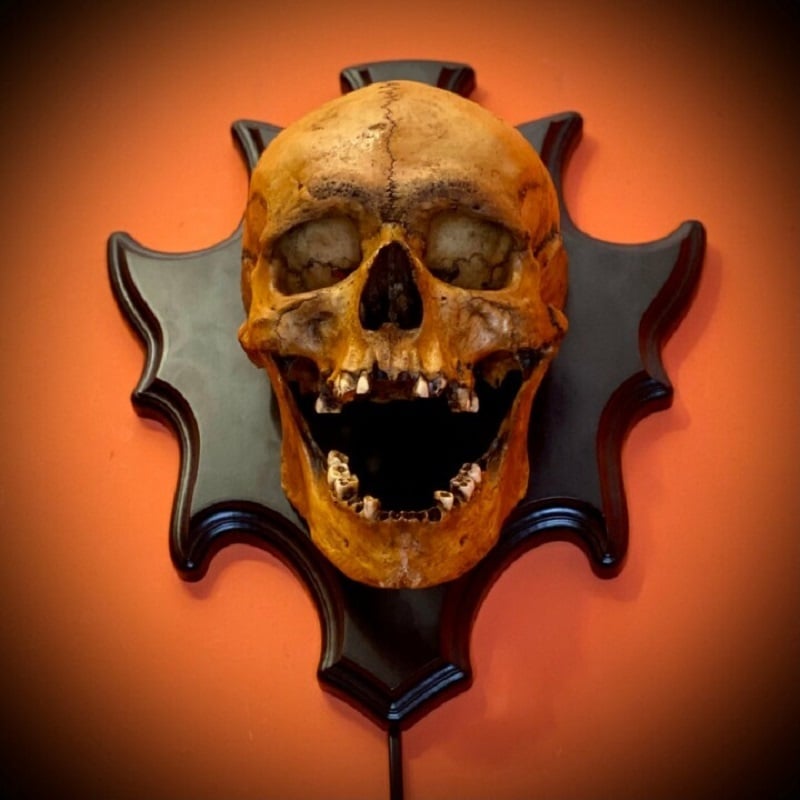 Halloween Skull Lamp with Sound and LED Light