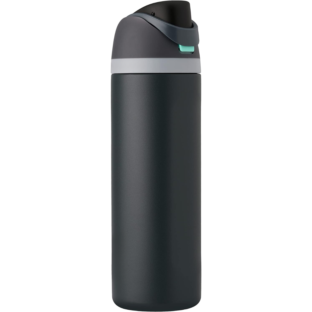 Insulated Stainless Steel Water Bottle with Straw in Black