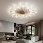 Large Modern LED Ceiling Light