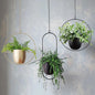 Hanging Plant Frame with Pot