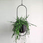 Hanging Plant Frame with Pot in Black