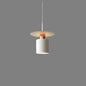 Minimalist Metal Dome Pendant Light – full view 21