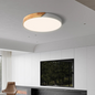 Metal and Wood LED Ceiling Light
