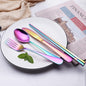 Portable Stainless Steel Cutlery Set with Case