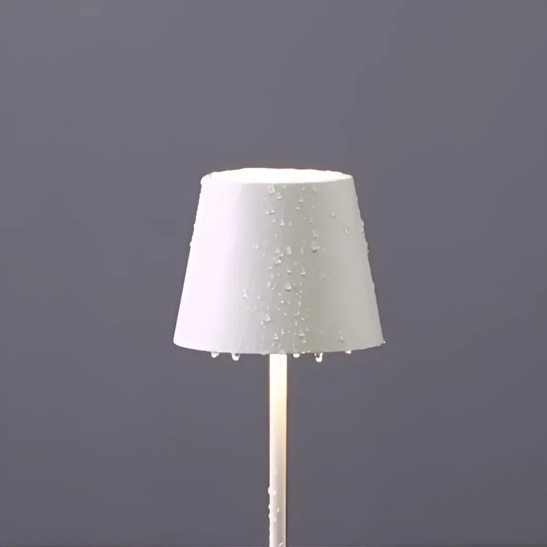 Rechargeable dimmable LED table lamp