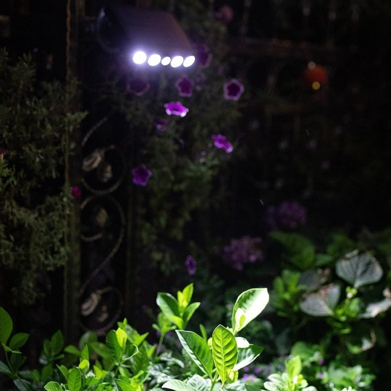 Solar Motion Sensor Outdoor Light