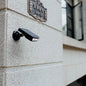 Solar Motion Sensor Outdoor Light