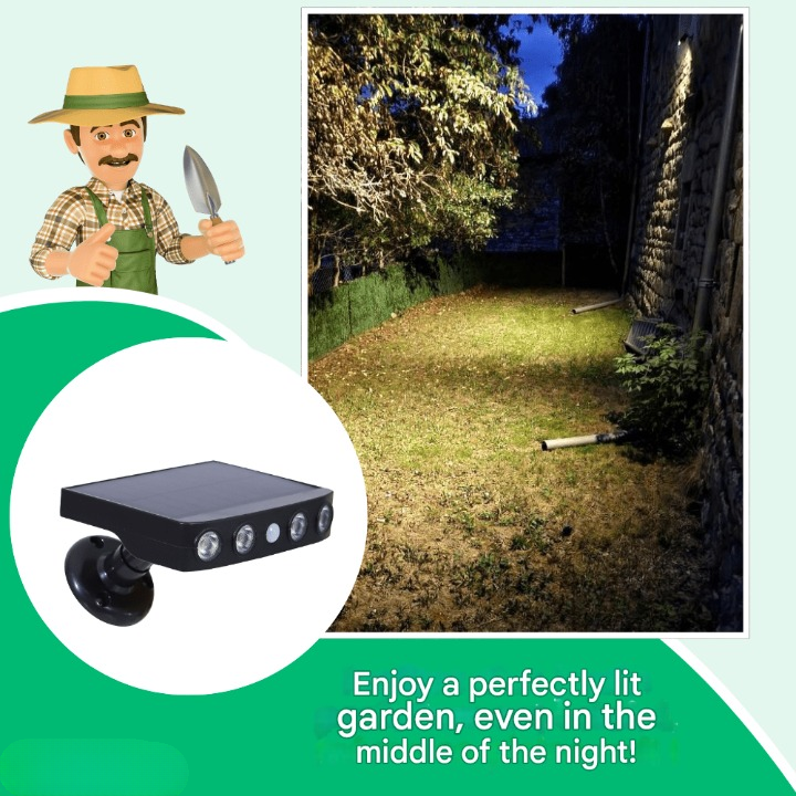 Solar Motion Sensor Outdoor Light