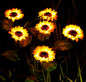 Solar Sunflower Garden Light
