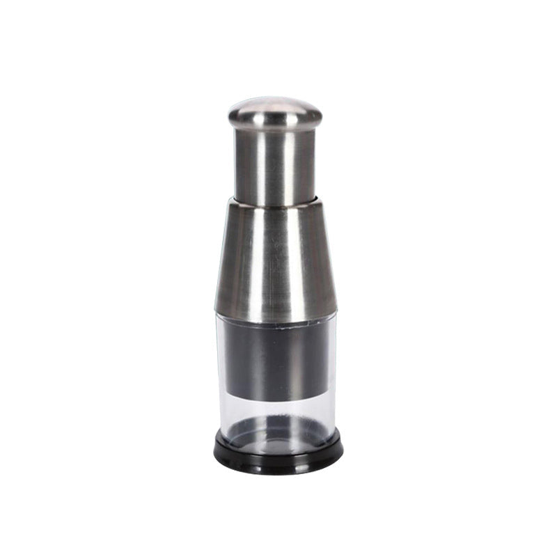 Stainless Steel Garlic Press