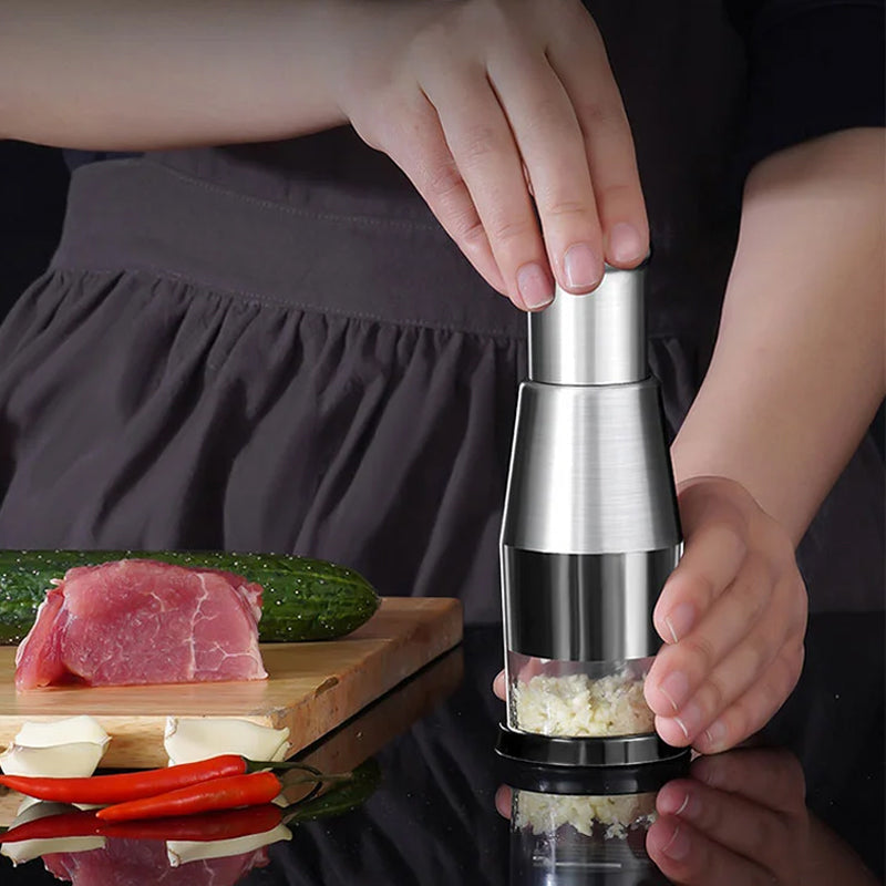 Stainless Steel Garlic Press