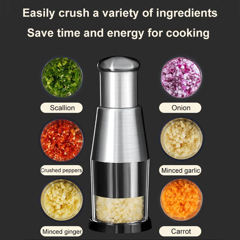 Stainless Steel Garlic Press