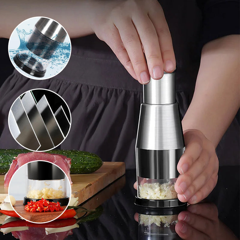 Stainless Steel Garlic Press
