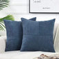 Striped Corduroy Cushion Cover in Blue