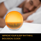 Sunrise Alarm Clock with Wake-Up Light