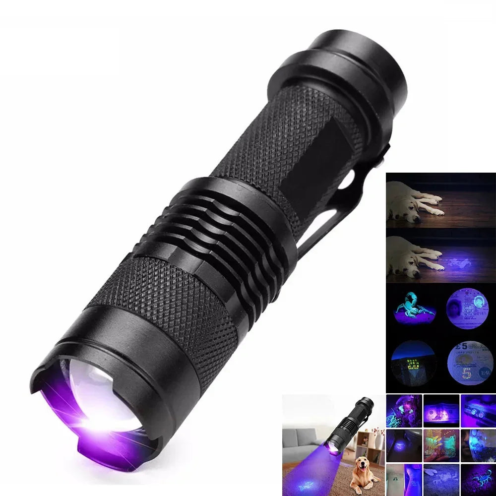 UV Torch for Pet Stain Detection