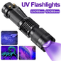 UV Torch for Pet Stain Detection