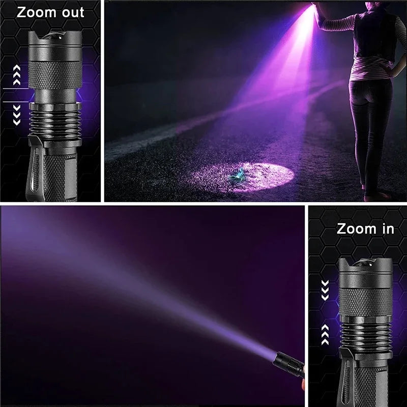 UV Torch for Pet Stain Detection