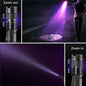 UV Torch for Pet Stain Detection