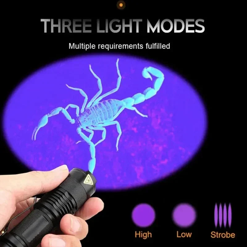 UV Torch for Pet Stain Detection