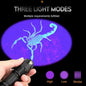UV Torch for Pet Stain Detection