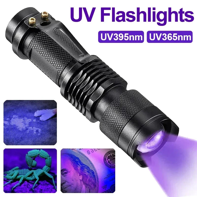 UV Torch for Pet Stain Detection