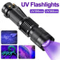 UV Torch for Pet Stain Detection