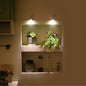Wireless LED Accent Spotlight with Remote