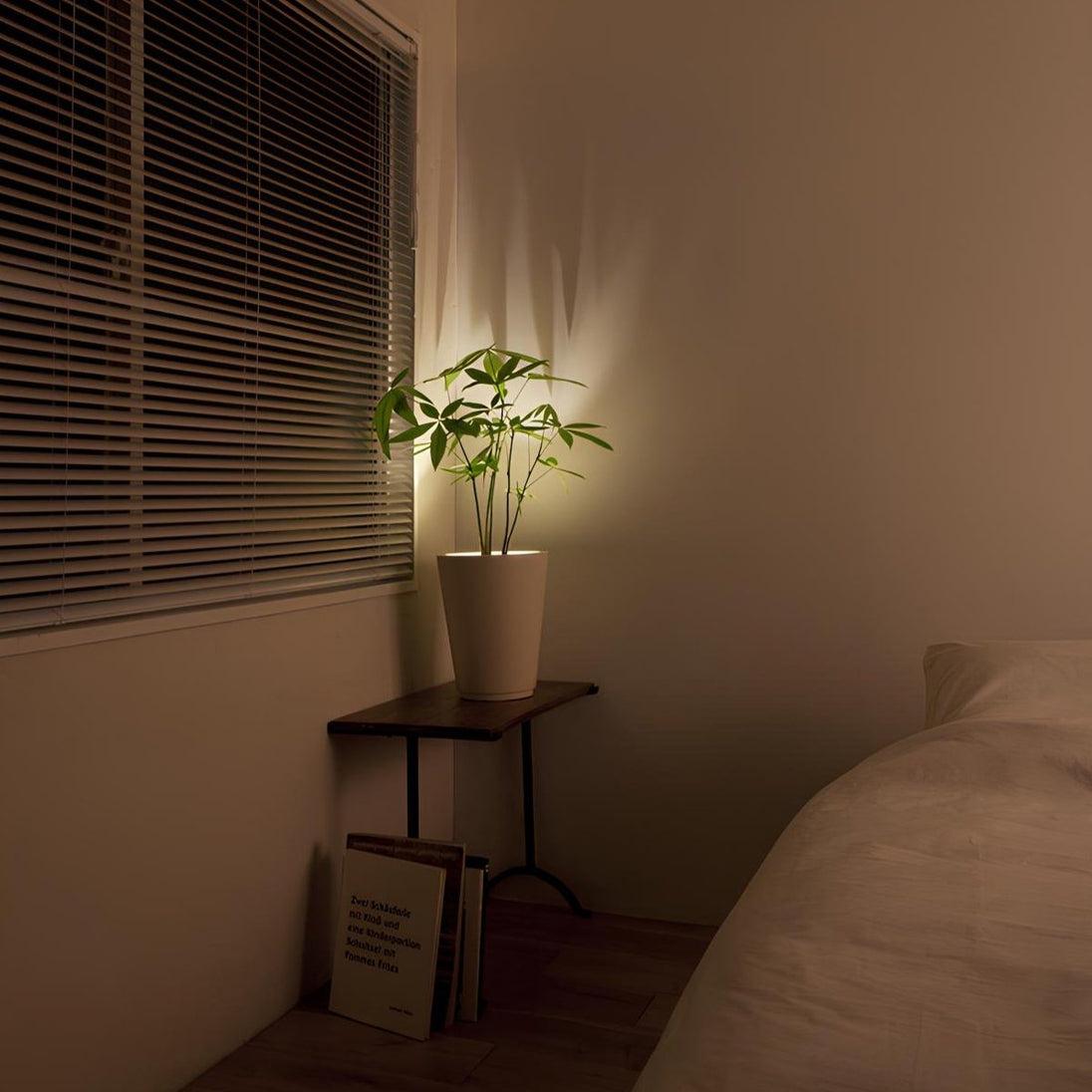 Wireless LED Accent Spotlight with Remote