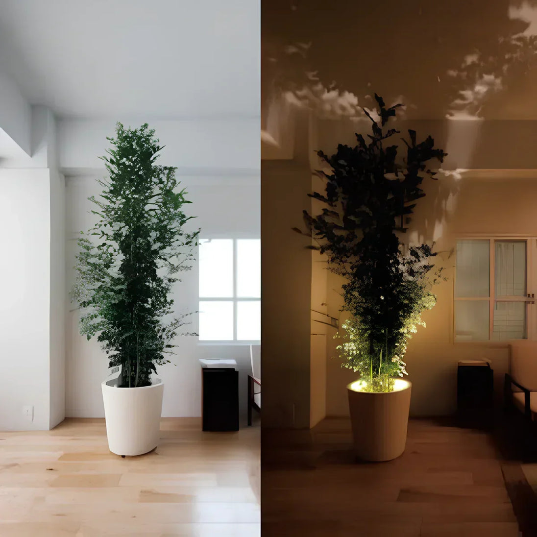 Wireless LED Accent Spotlight with Remote